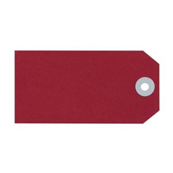 Avery Shipping Tags Size 4 108x54mm Red 